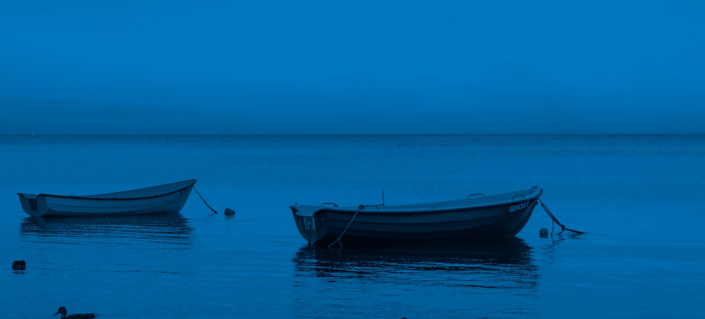 Ab auf die Insel – Teil II: Twitter